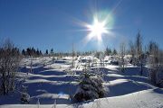 Winterlandschaft