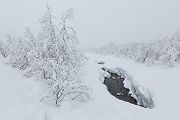 Unterwegs in Norwegen