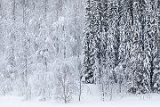 Unterwegs in Norwegen