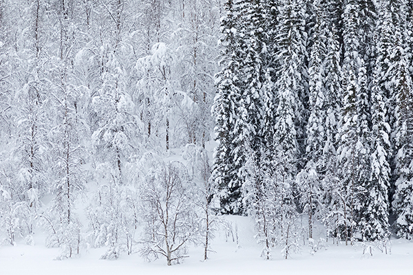 Unterwegs in Norwegen