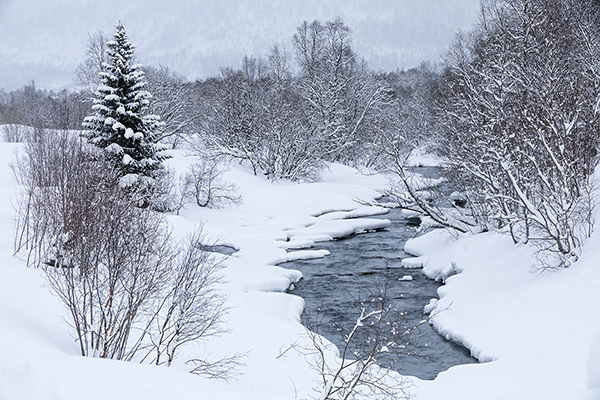 Unterwegs in Norwegen
